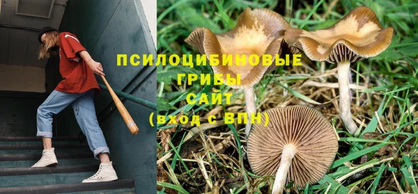 герыч Тында