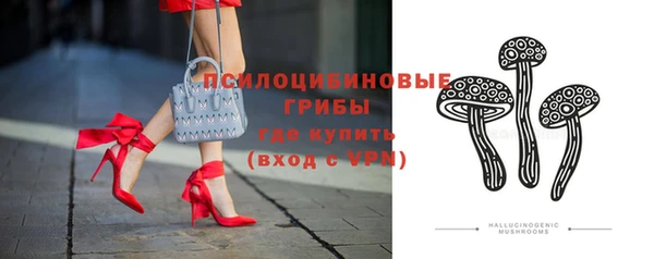 молекула духа Алзамай